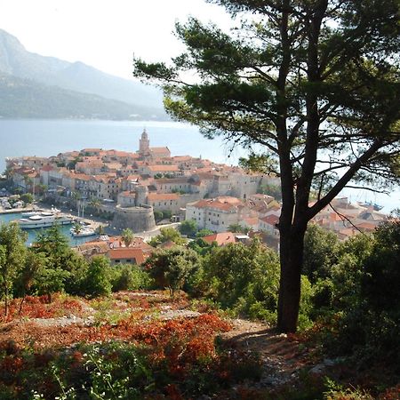 Villa Nova Vela Luka Bagian luar foto
